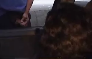 XXX edecek bir modele sahip değildir, Evet, ve onunla akıllı konuşmalar azeri xxx