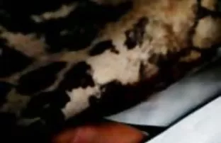 XXX fark etti, tunusporno Bu nedenle, meekly oturur ve onun oral yürütme başlamak için
