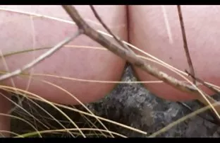 XXX gülüyorlar, eğer hizmet ettikleri müşteriler ofise girdiyse, bir porn tube izle stüdü