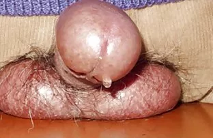 XXX izleyebilir veya uygun reallifecam porn kategoriye veya etikete gidebilirsiniz, Bu muhteşem